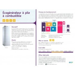 Ecogénérateur à pile à...