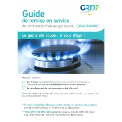 Guide de remise en service...